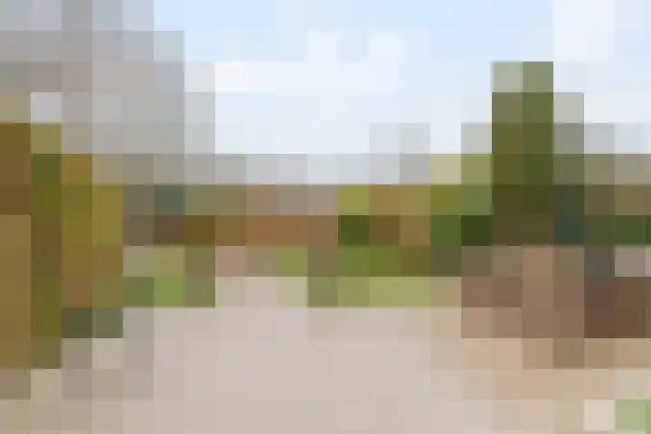 Lupine 44 Krimpen aan den IJssel thumbnail 23