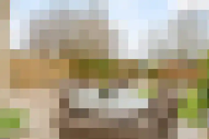 Lupine 44 Krimpen aan den IJssel thumbnail 24