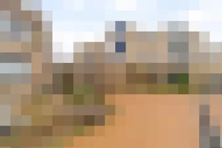 Lupine 44 Krimpen aan den IJssel thumbnail 27