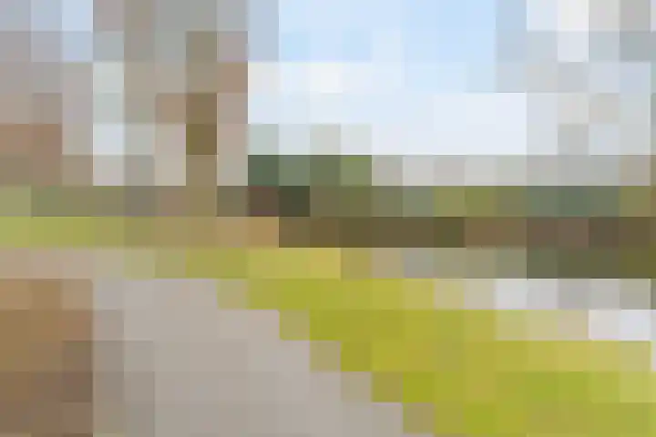 Lupine 44 Krimpen aan den IJssel thumbnail 30
