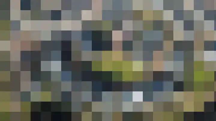 Lupine 44 Krimpen aan den IJssel thumbnail 31