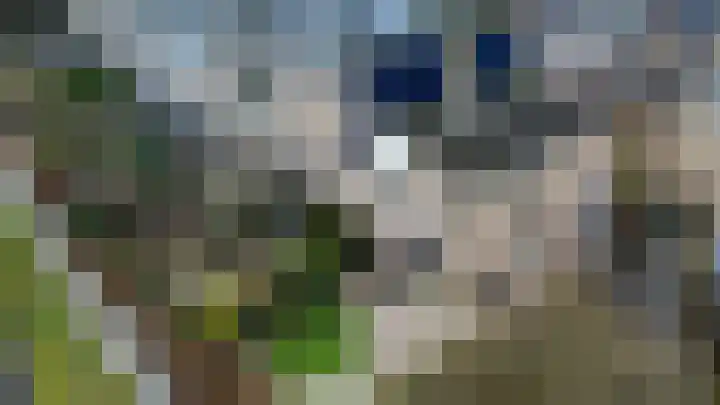 Lupine 44 Krimpen aan den IJssel thumbnail 34