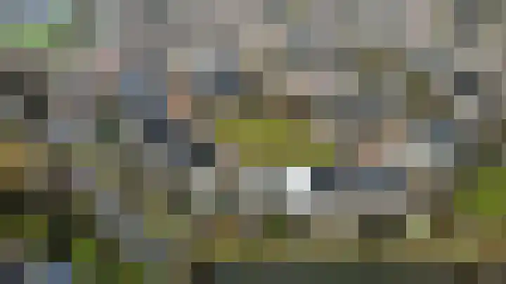 Lupine 44 Krimpen aan den IJssel thumbnail 36