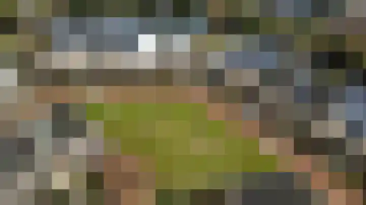 Lupine 44 Krimpen aan den IJssel thumbnail 37