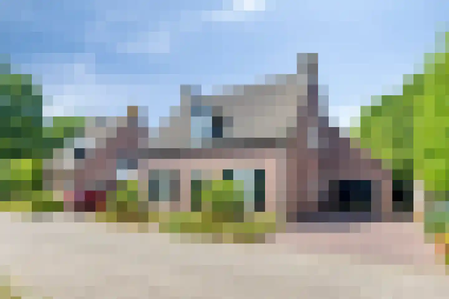 Lupine 5 Eersel