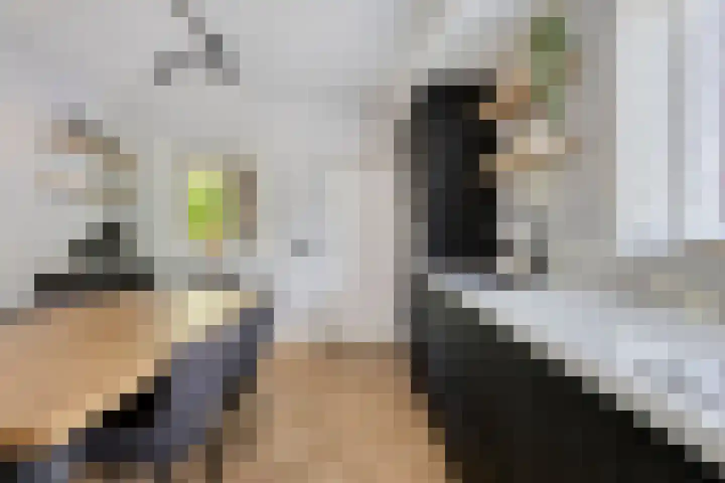 Lupine 5 Eersel thumbnail 15