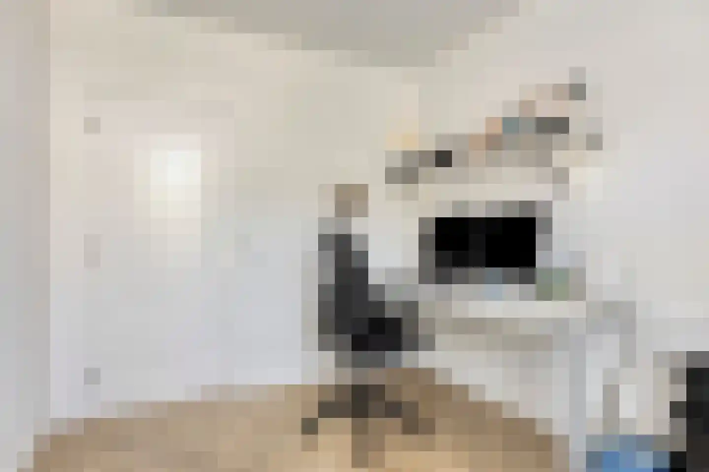 Lupine 5 Eersel thumbnail 34