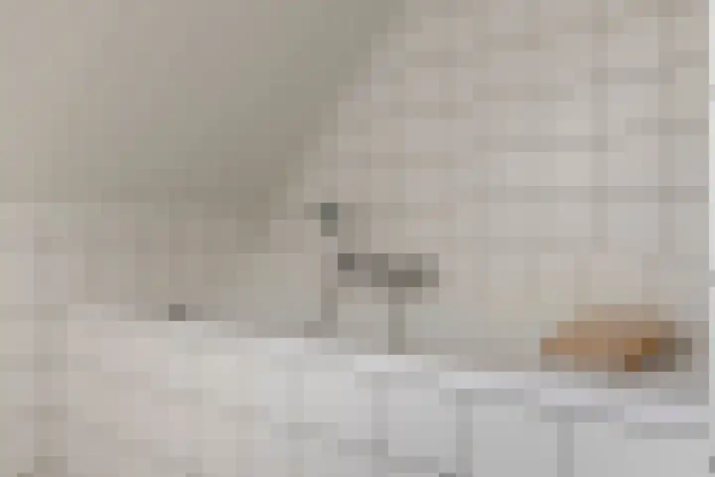Lupine 5 Eersel thumbnail 41