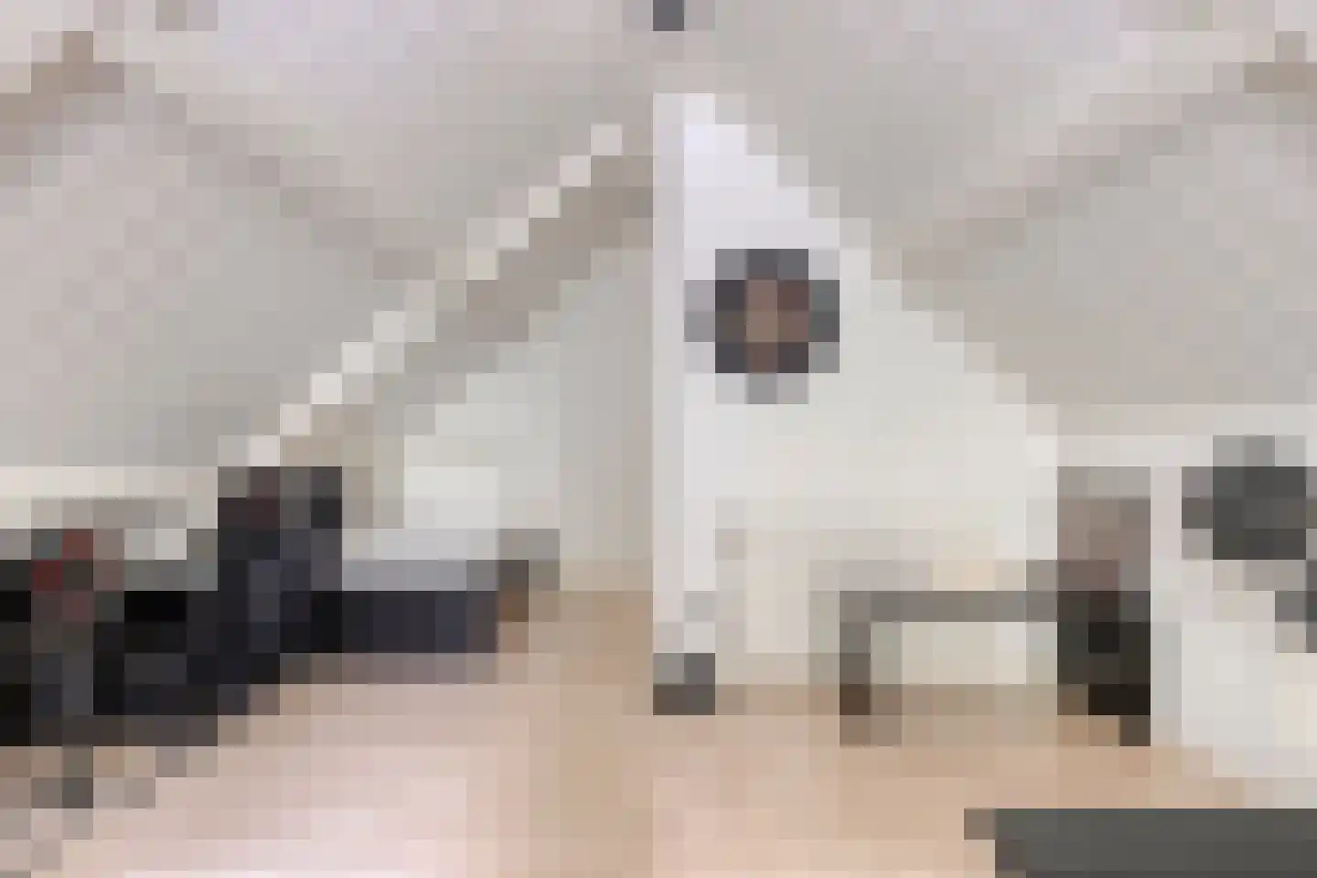 Lupine 5 Eersel thumbnail 45