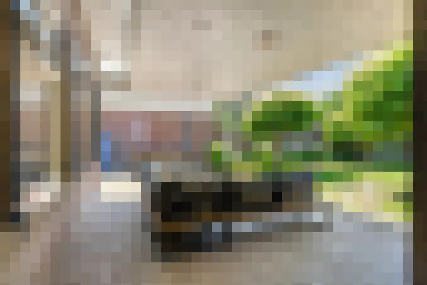 Lupine 5 Eersel thumbnail 48