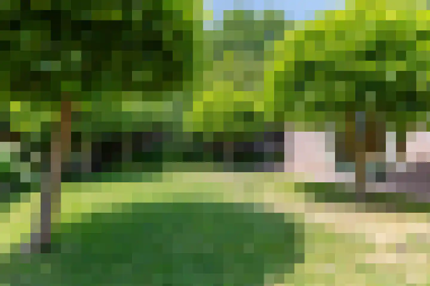 Lupine 5 Eersel thumbnail 51