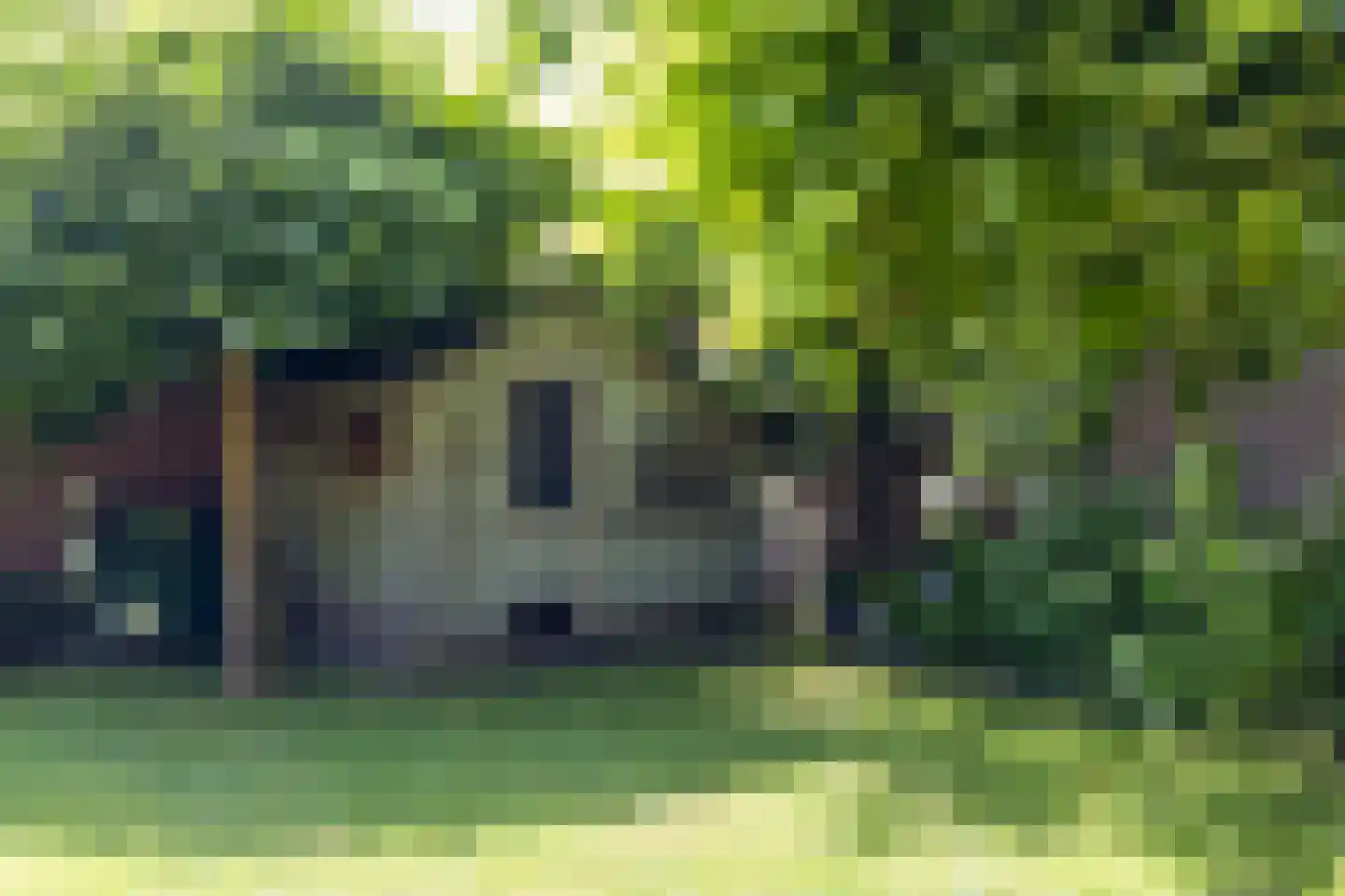 Lupine 5 Eersel thumbnail 54