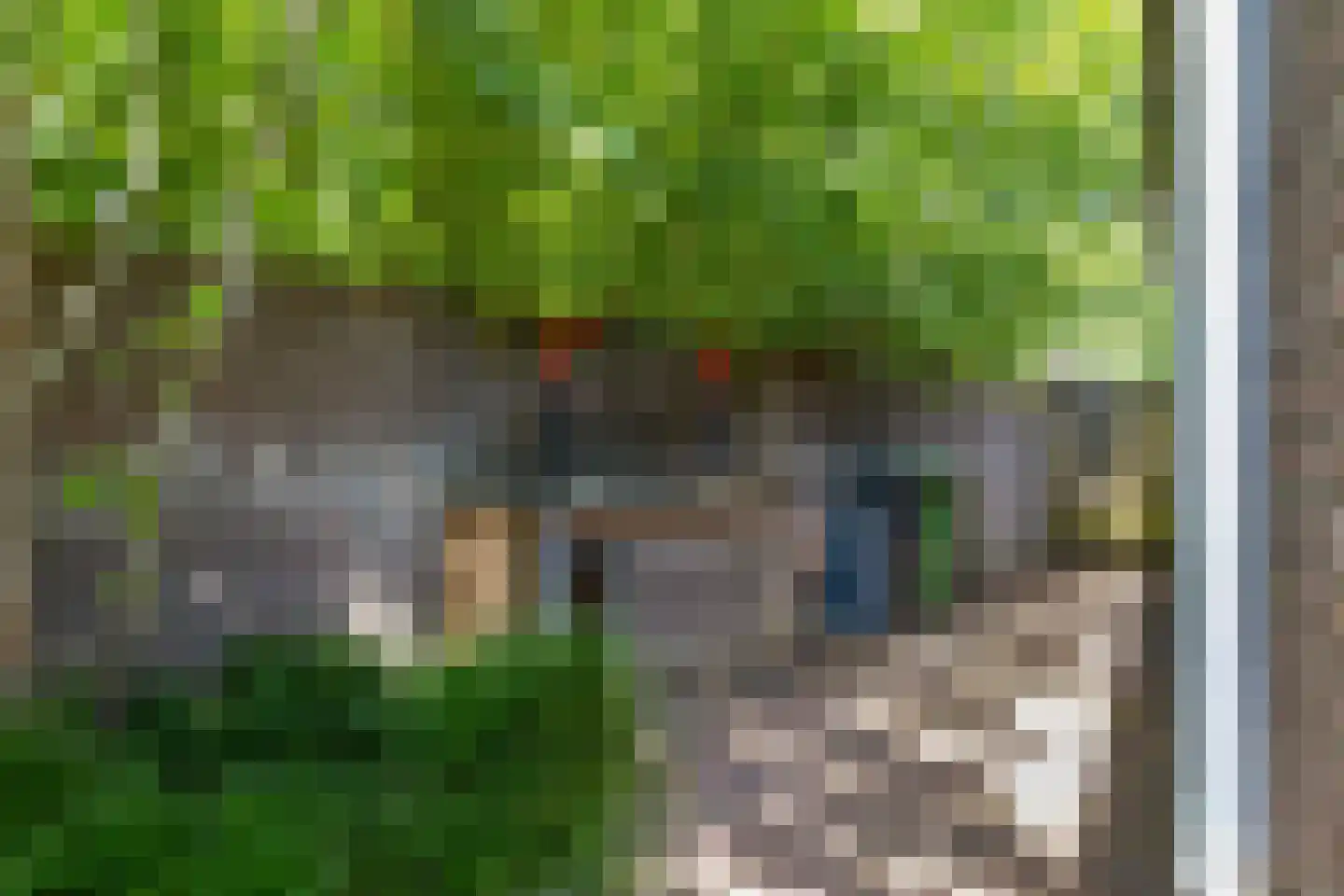 Lupine 5 Eersel thumbnail 55