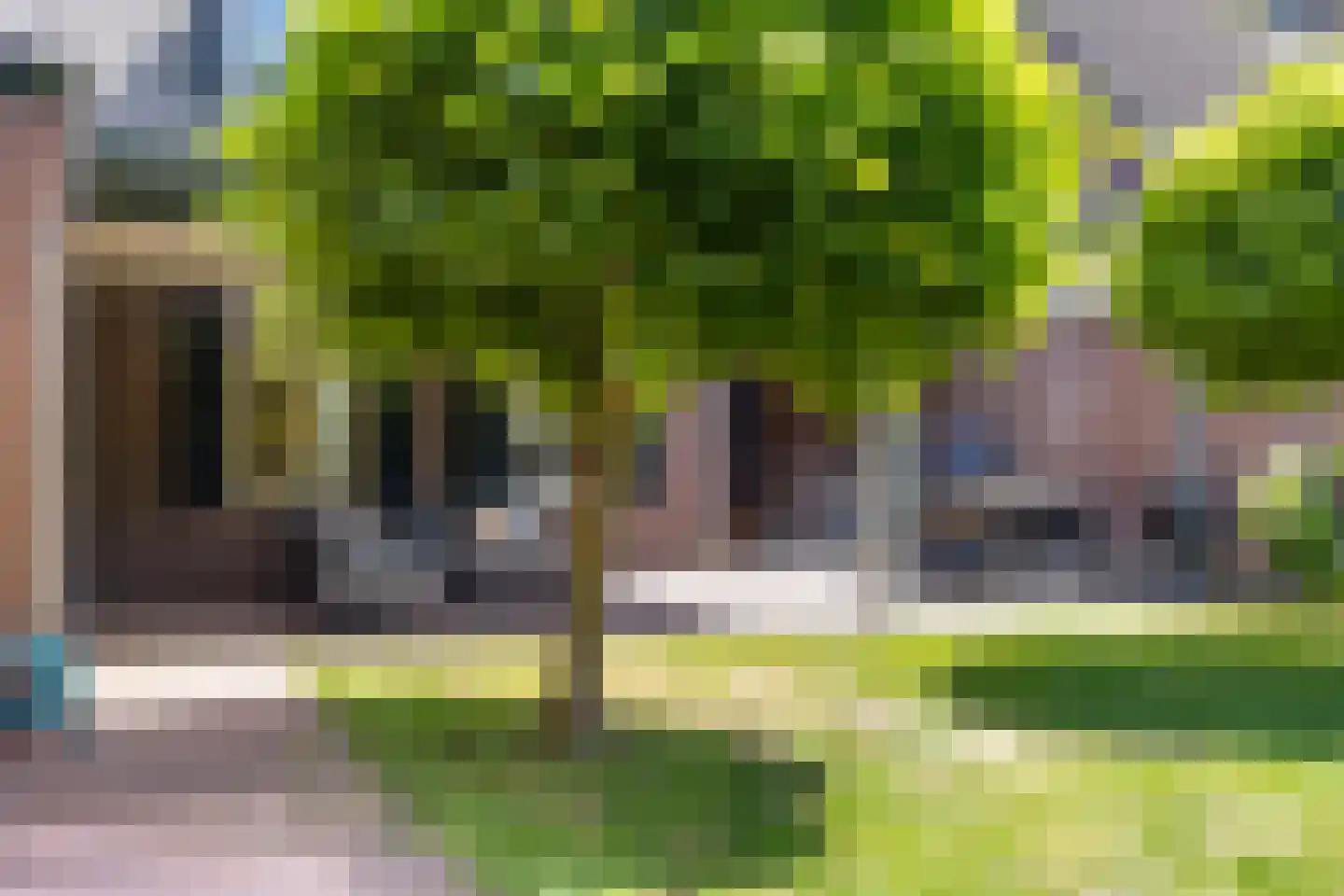 Lupine 5 Eersel thumbnail 56
