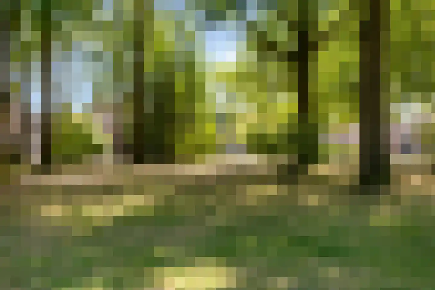 Lupine 5 Eersel thumbnail 59