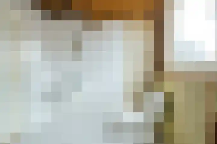 Lupine 6 Eersel thumbnail 26