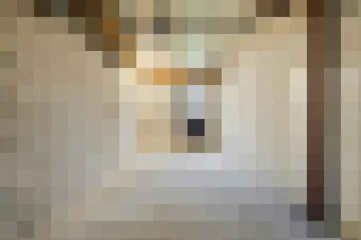 Lupine 6 Eersel thumbnail 29