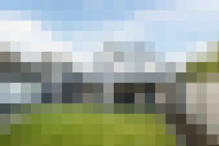 Lupine 6 Eersel thumbnail 34