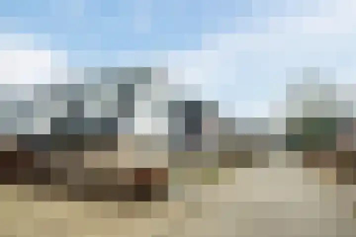 Lupine 6 Eersel thumbnail 37