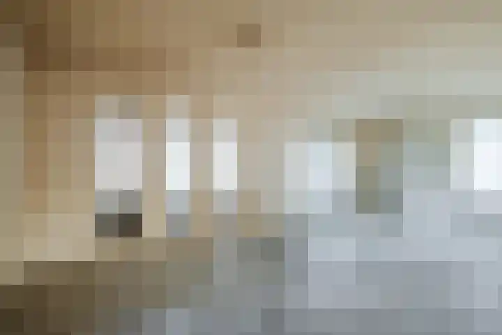 Lupine 6 Eersel thumbnail 6