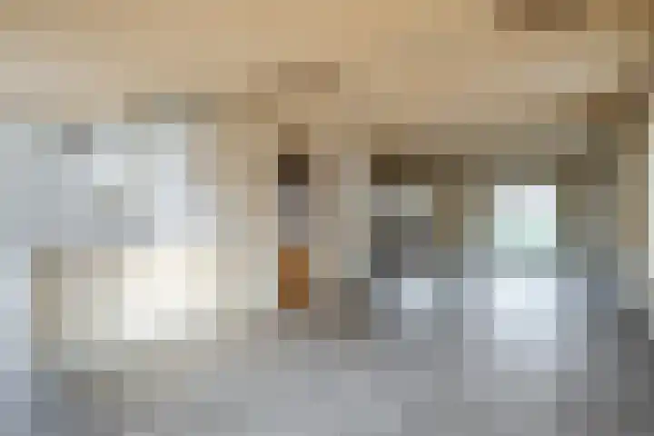 Lupine 6 Eersel thumbnail 9