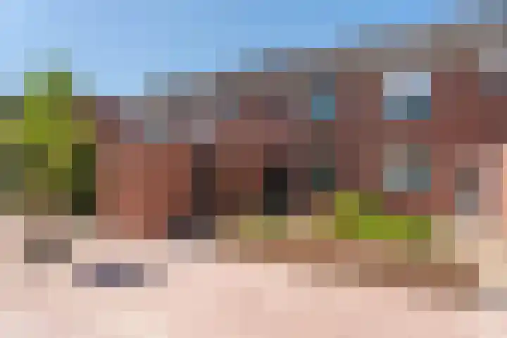 Lupine 63 Rijnsburg thumbnail 30