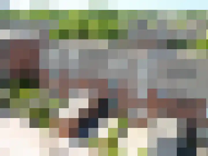 Lupine 63 Rijnsburg thumbnail 31
