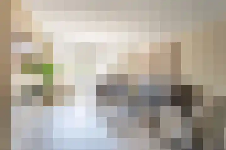 Lupine 63 Rijnsburg thumbnail 4