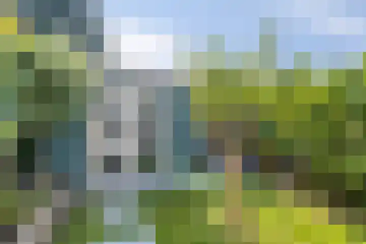 Lupine 8 Krimpen aan den IJssel thumbnail 37