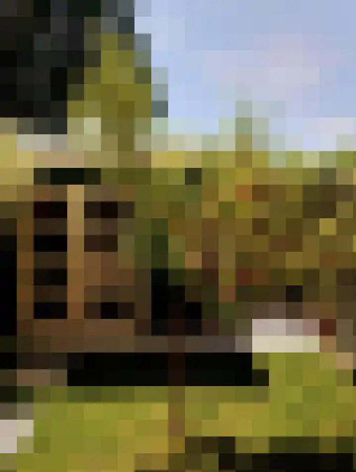 Lupine 8 Krimpen aan den IJssel thumbnail 38