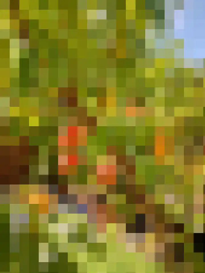 Lupine 8 Krimpen aan den IJssel thumbnail 40