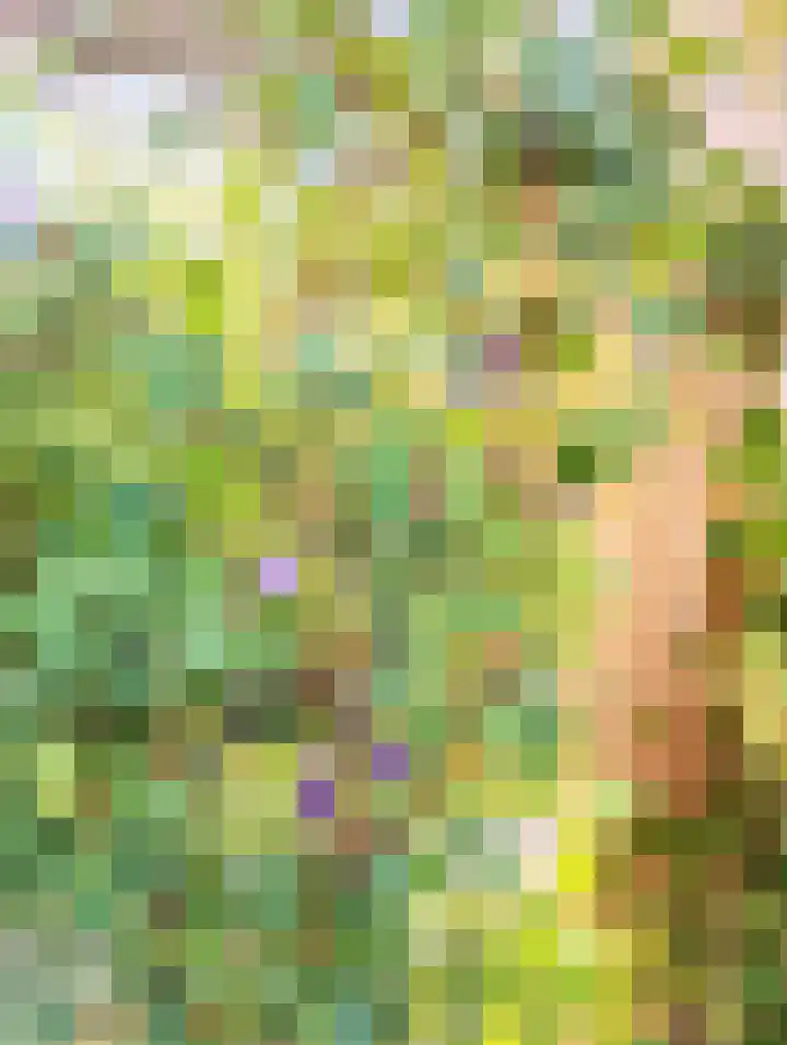 Lupine 8 Krimpen aan den IJssel thumbnail 41