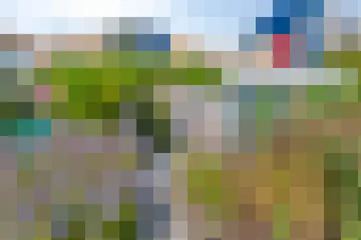 Lupine 8 Krimpen aan den IJssel thumbnail 43