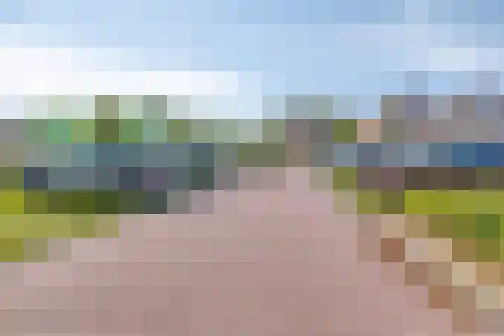 Lupine 8 Krimpen aan den IJssel thumbnail 48