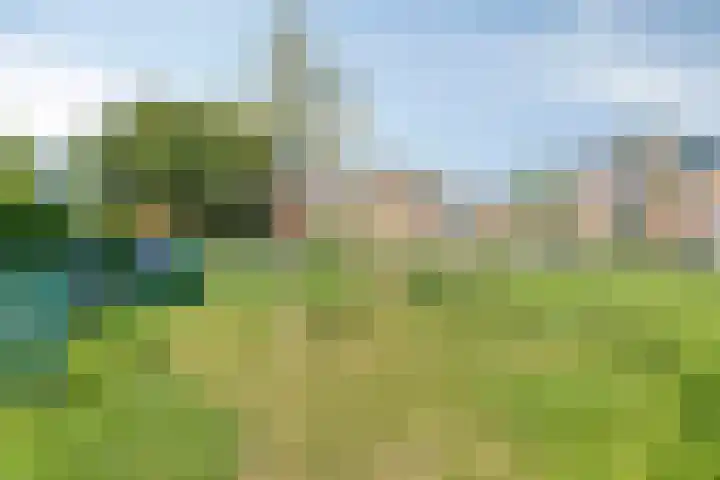 Lupine 8 Krimpen aan den IJssel thumbnail 49