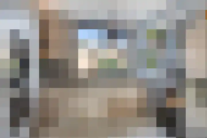 Lupine 8 Krimpen aan den IJssel thumbnail 9