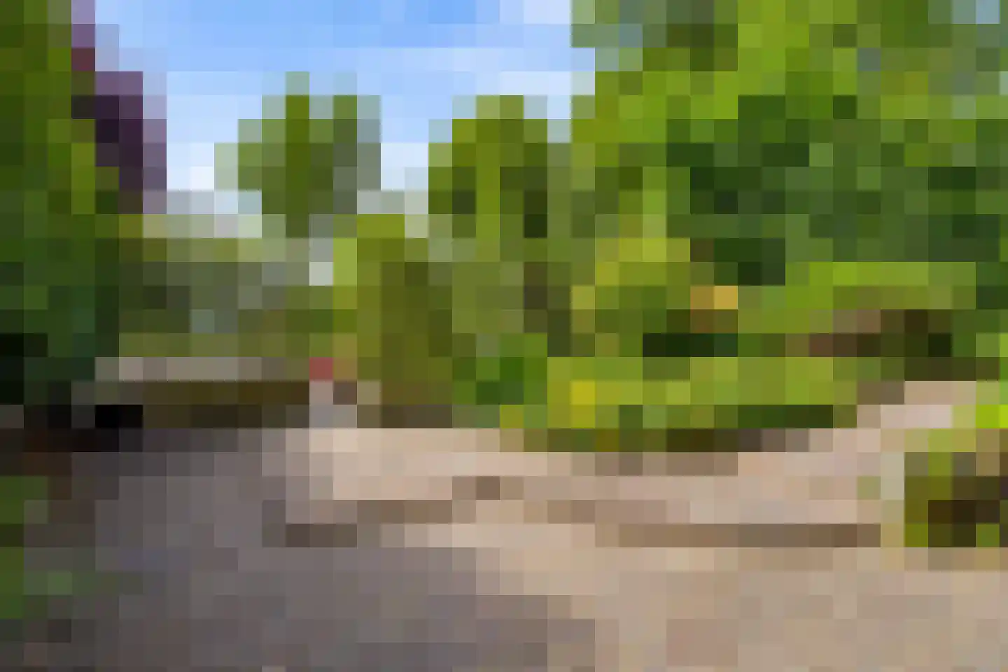 Lupine-oord 11 Houten thumbnail 4