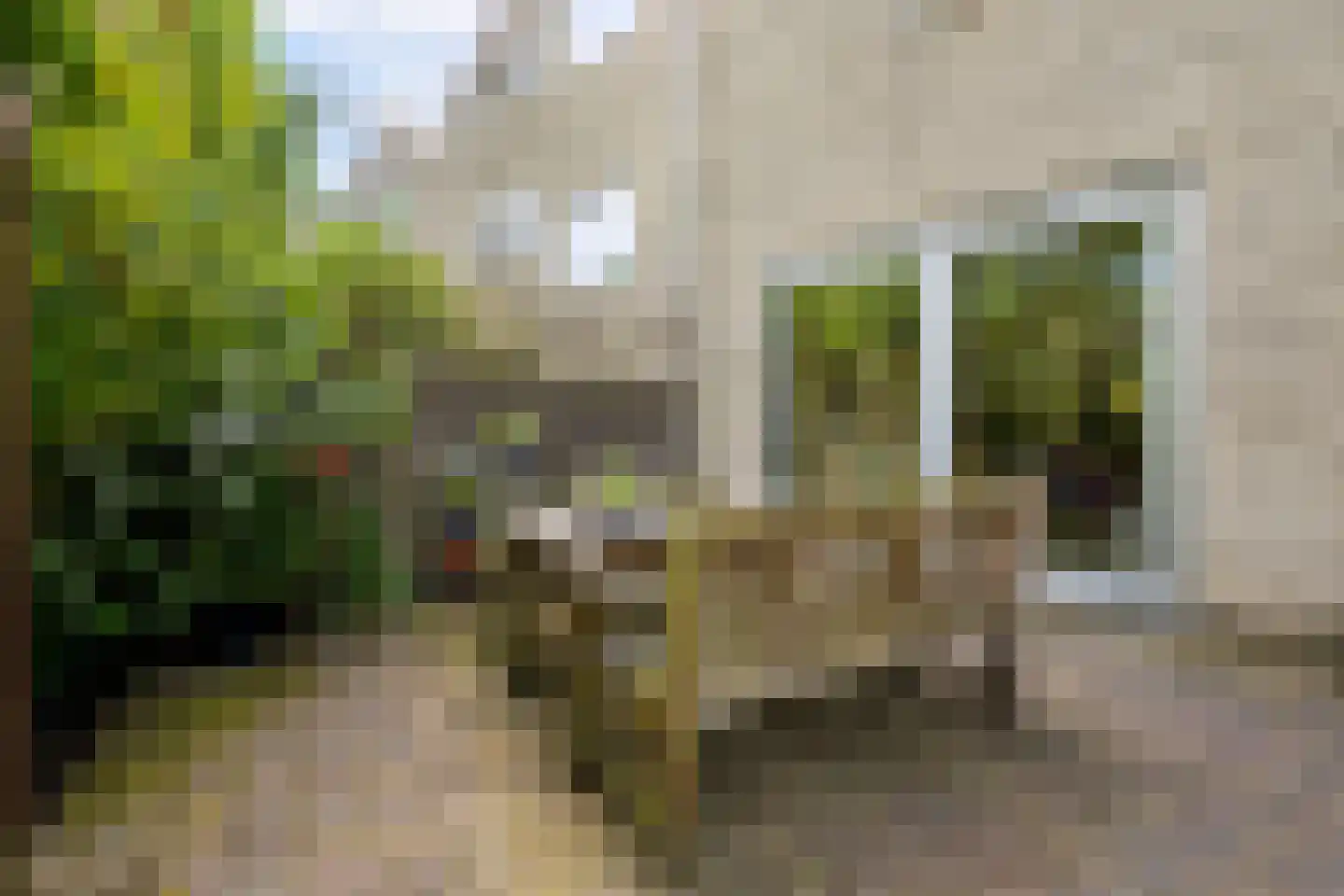 Lupine-oord 11 Houten thumbnail 44