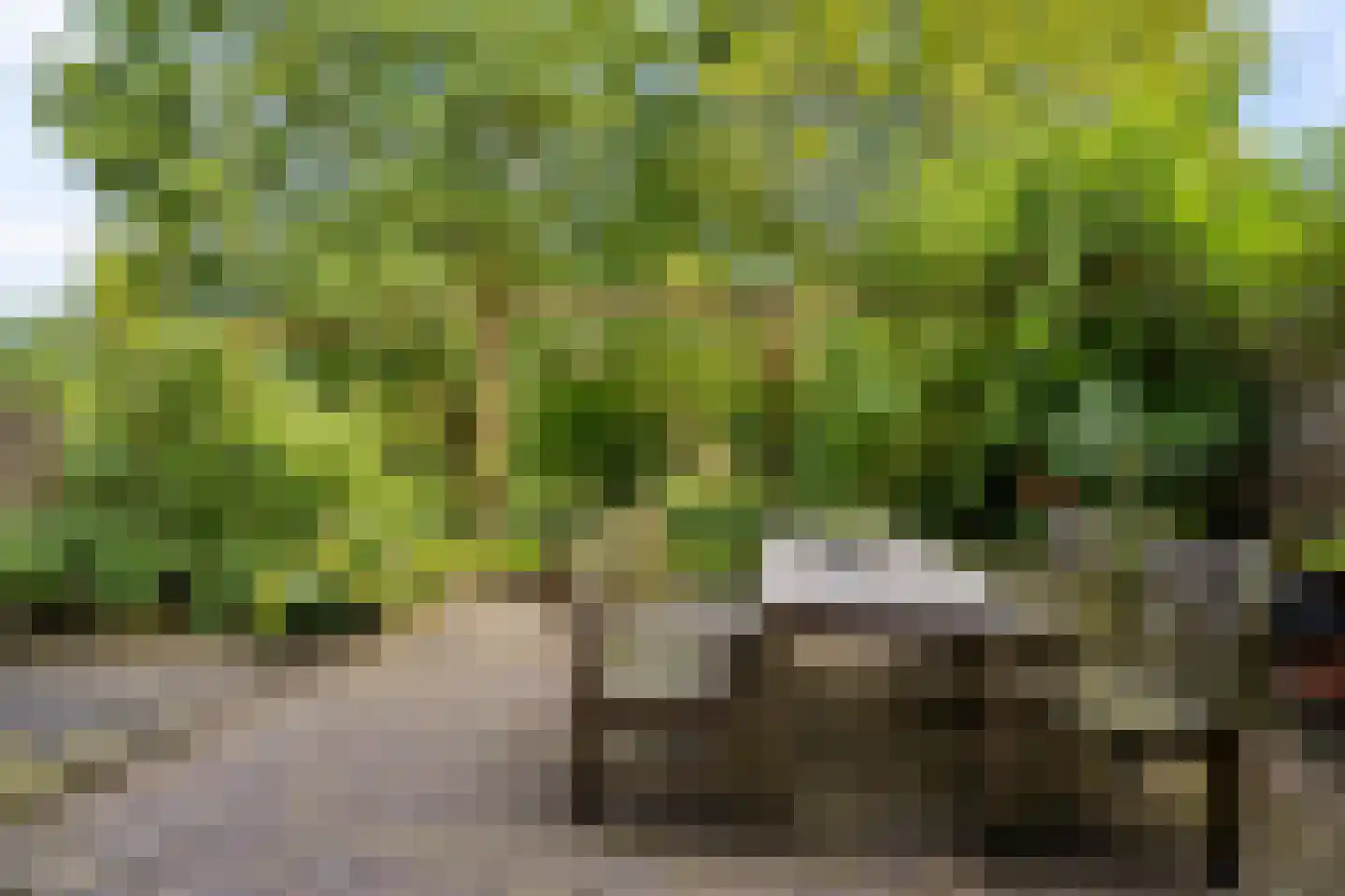 Lupine-oord 11 Houten thumbnail 45