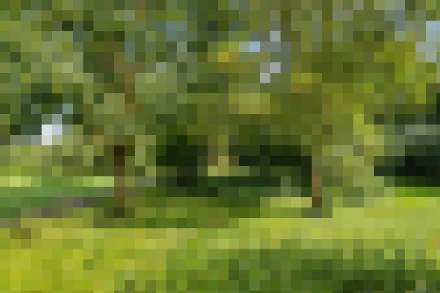 Lupine-oord 11 Houten thumbnail 46