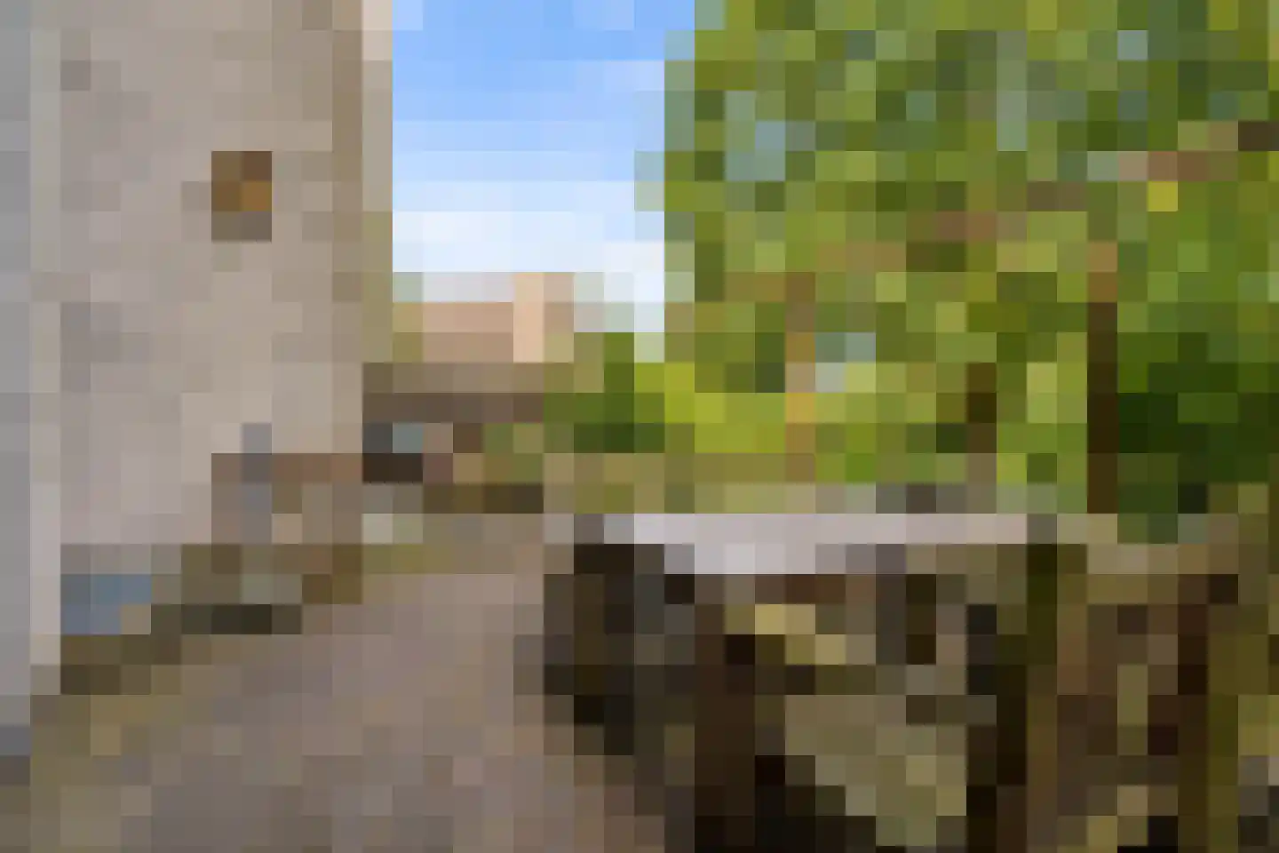 Lupine-oord 11 Houten thumbnail 47