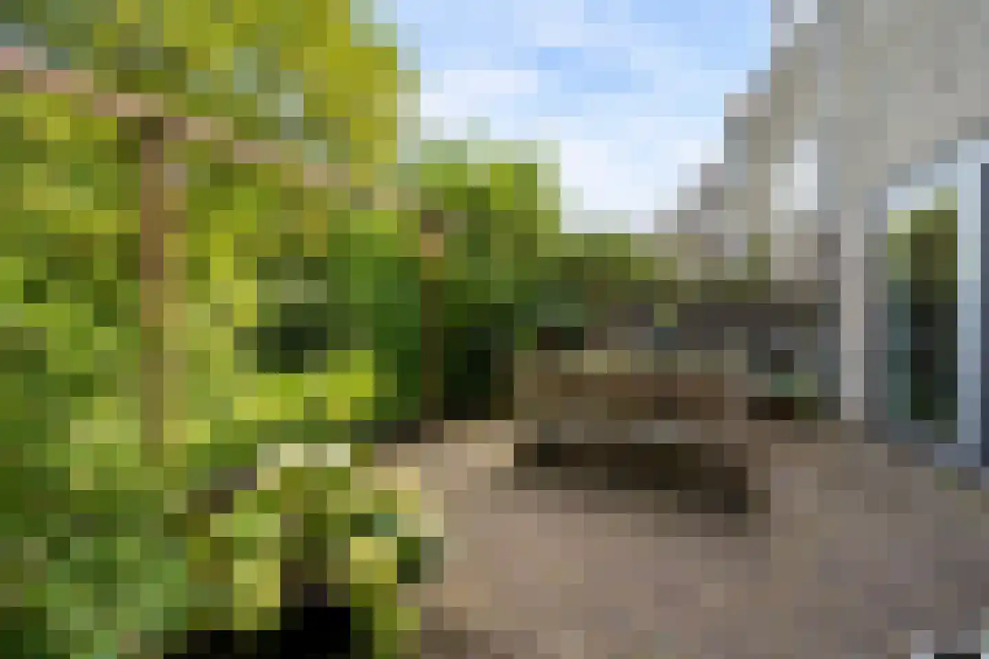 Lupine-oord 11 Houten thumbnail 48