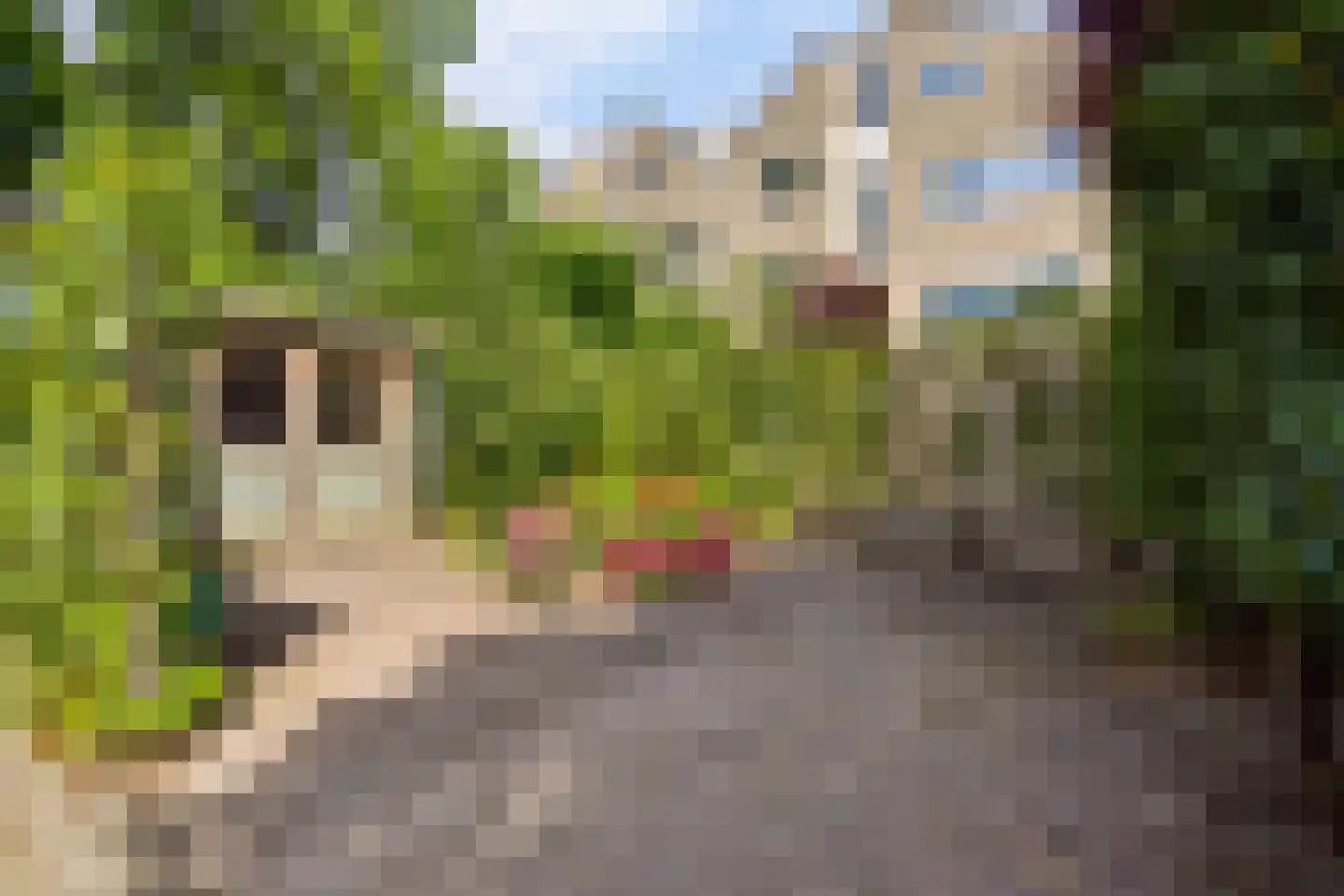 Lupine-oord 11 Houten thumbnail 49