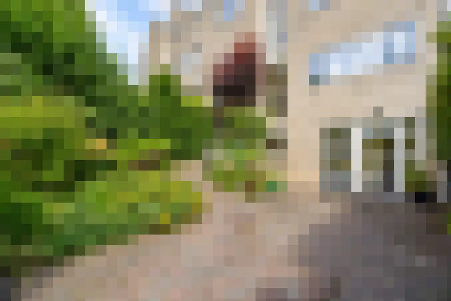 Lupine-oord 11 Houten thumbnail 5