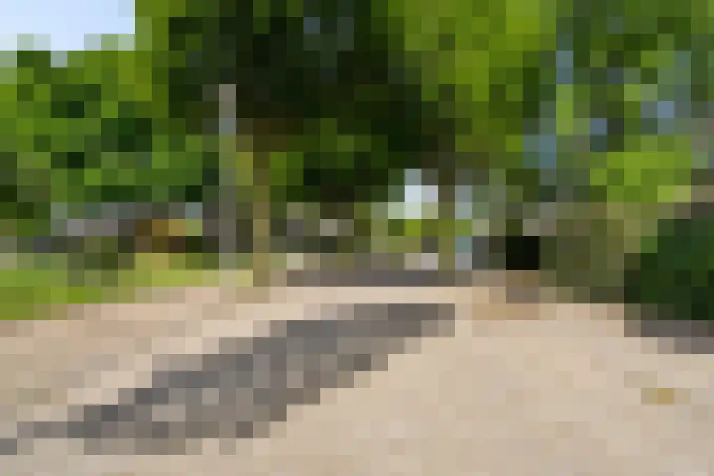 Lupine-oord 11 Houten thumbnail 54