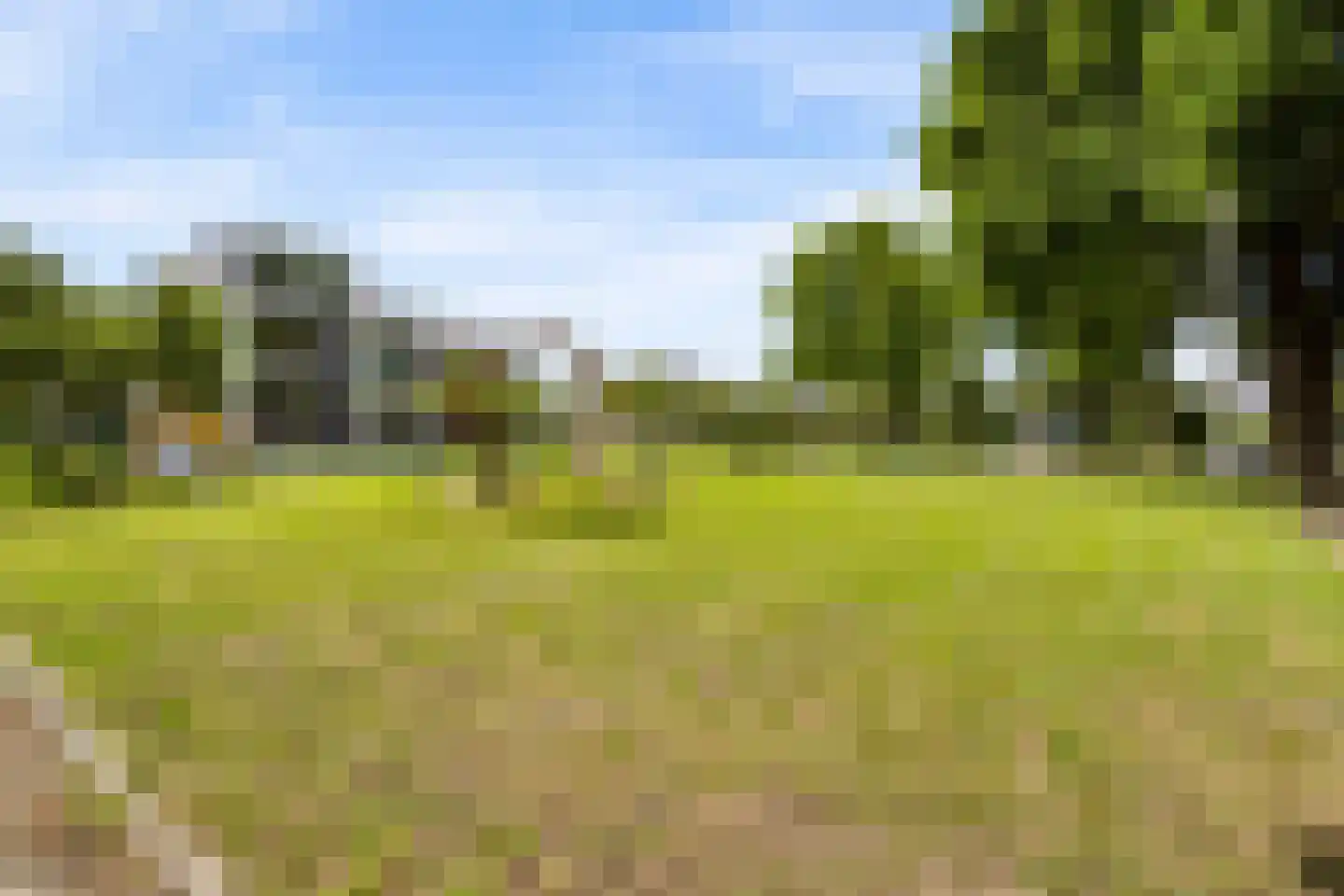 Lupine-oord 11 Houten thumbnail 55