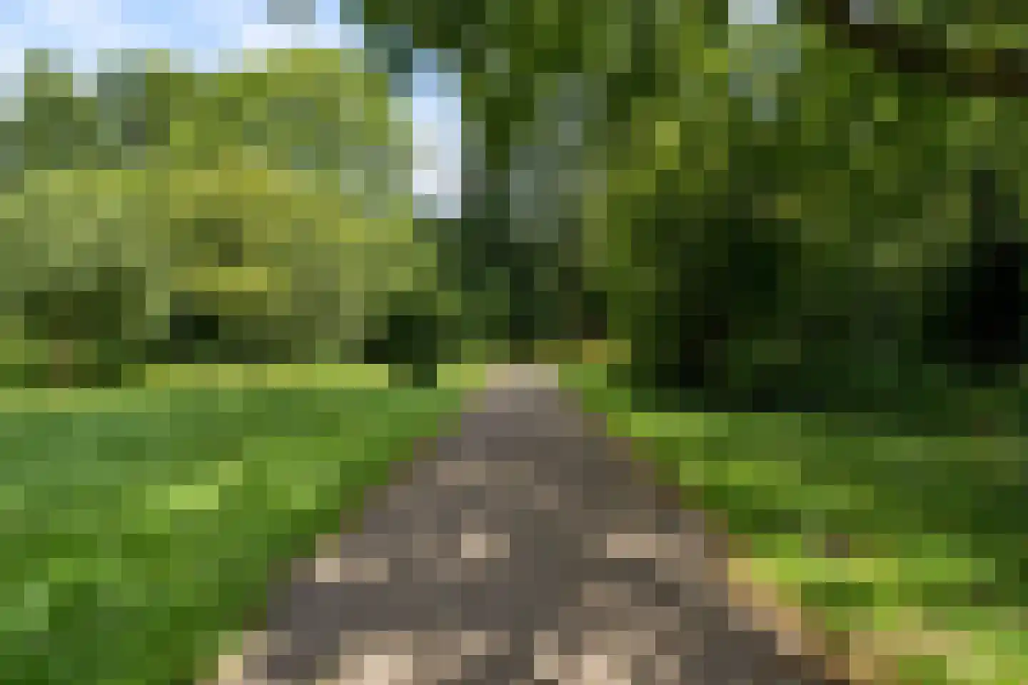 Lupine-oord 11 Houten thumbnail 56