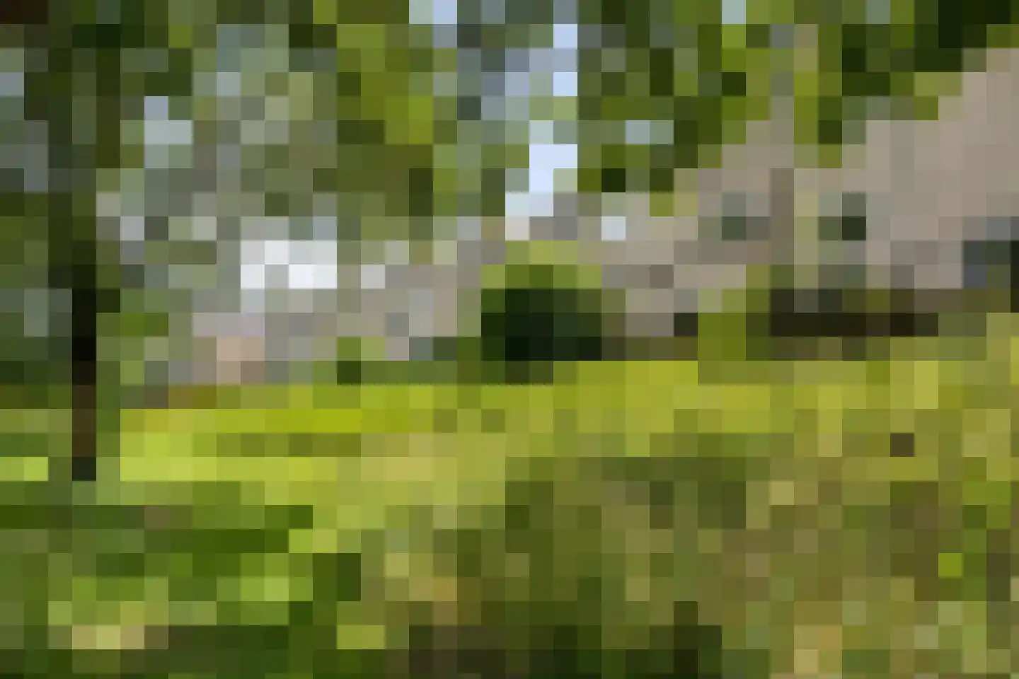 Lupine-oord 11 Houten thumbnail 57