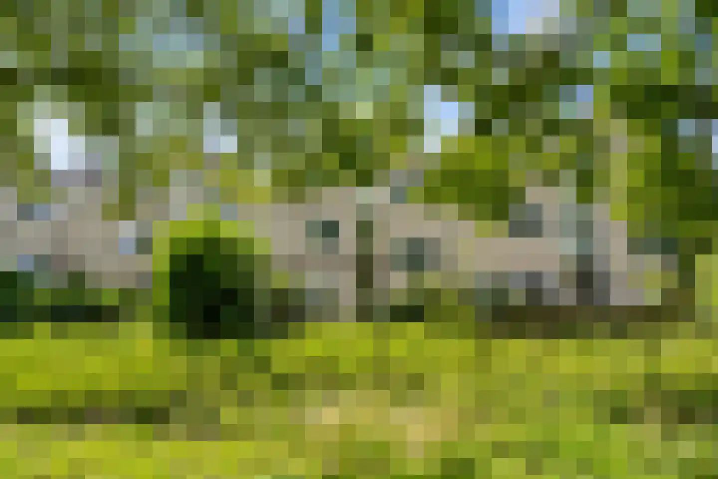 Lupine-oord 11 Houten thumbnail 58