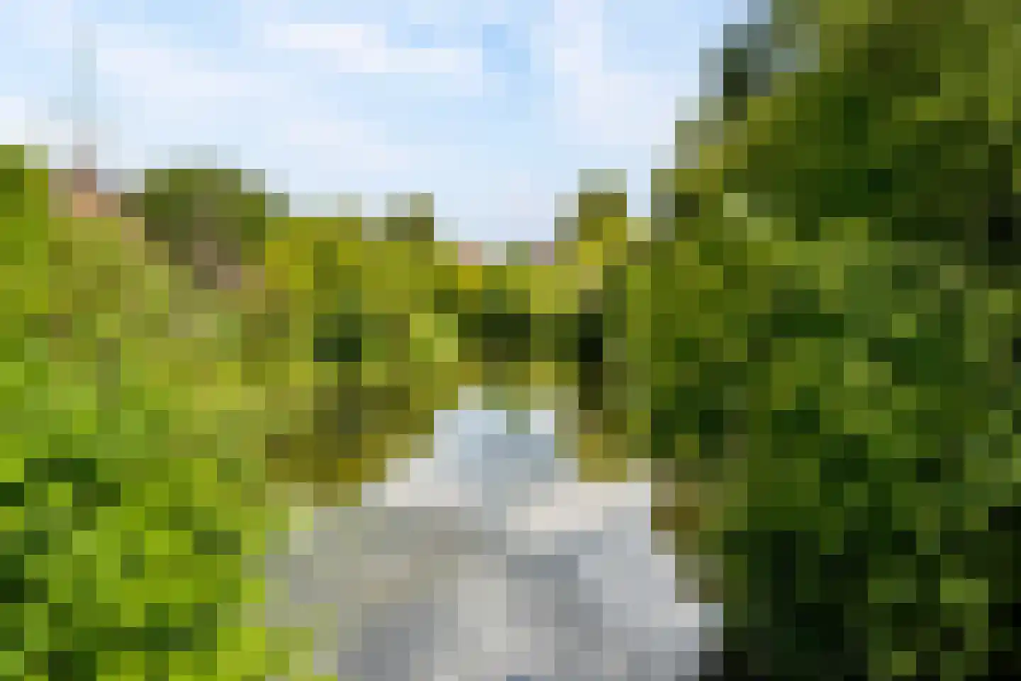 Lupine-oord 11 Houten thumbnail 59